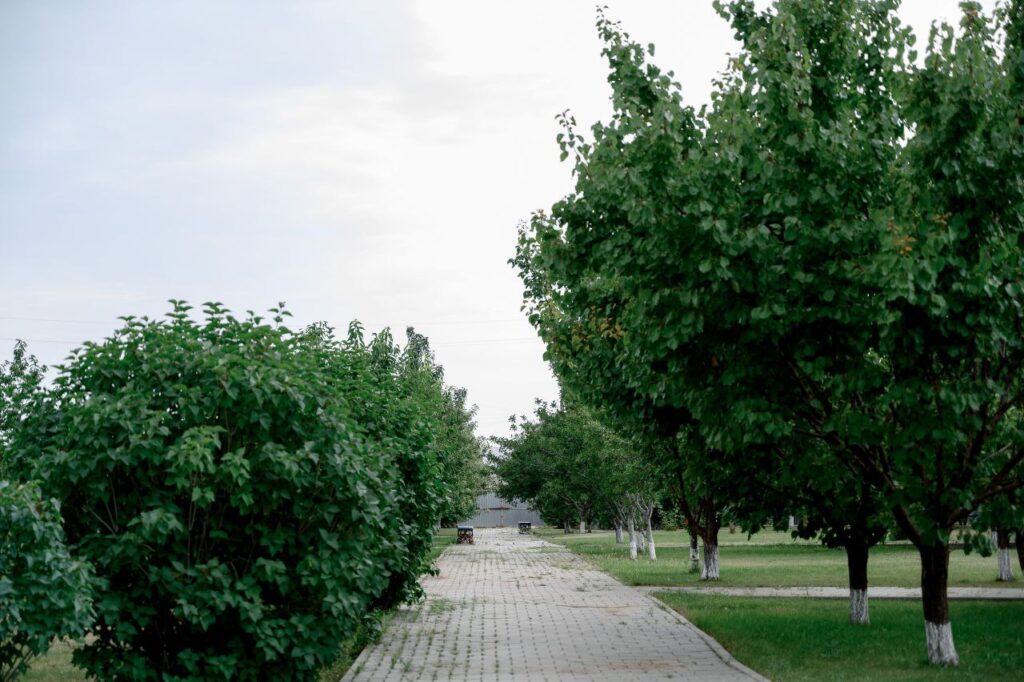 Терренкур